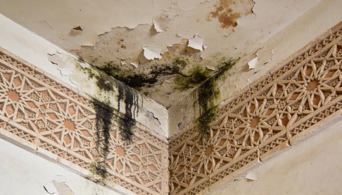 Infiltrations d’eau à Tanger